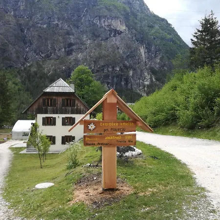 Apartment Organic Tourist Farm Pri Plajerju Trenta