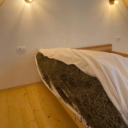 Organic Tourist Farm Pri Plajerju Farma Trenta