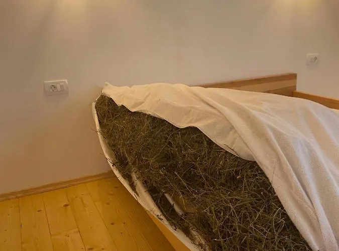 Organic Tourist Farm Pri Plajerju 아파트 트렌타