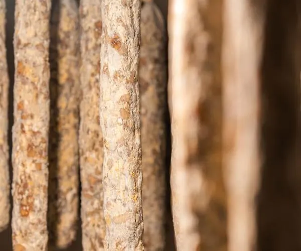 Organic Tourist Farm Pri Plajerju *