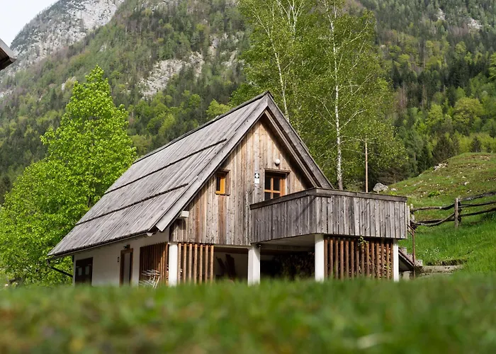 Organic Tourist Farm Pri Plajerju *